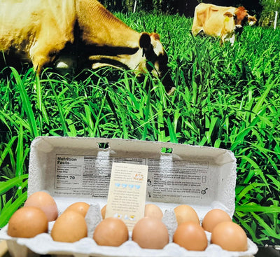 Docenas de huevos de pastoreo de Finca El Recreo