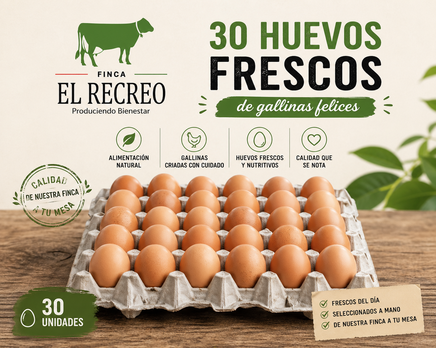Plancha de 30 Huevos Frescos de Finca – Ahora $6 (Antes $7.50)